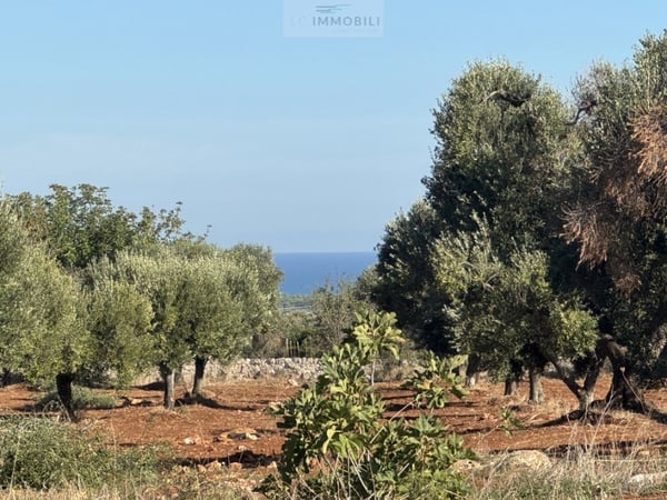 Land in Carovigno - view 1