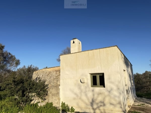 House in Carovigno - view 1