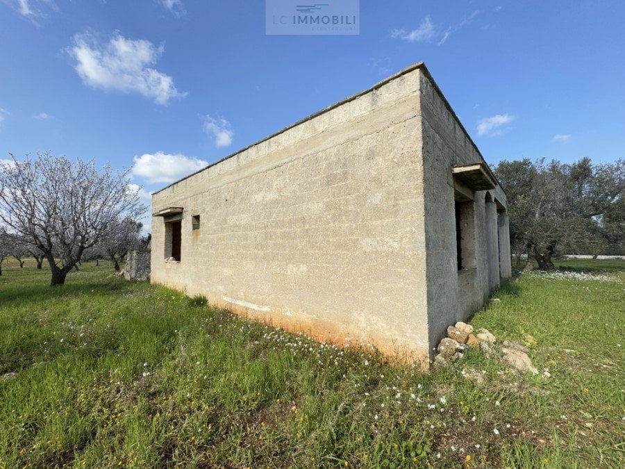 House in Carovigno - Image 3