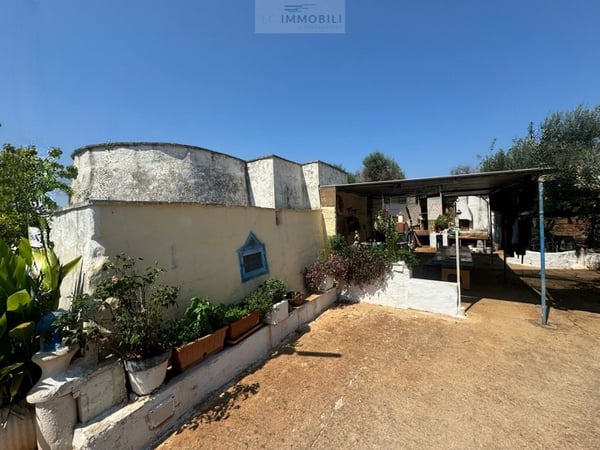 House in Carovigno - view 1