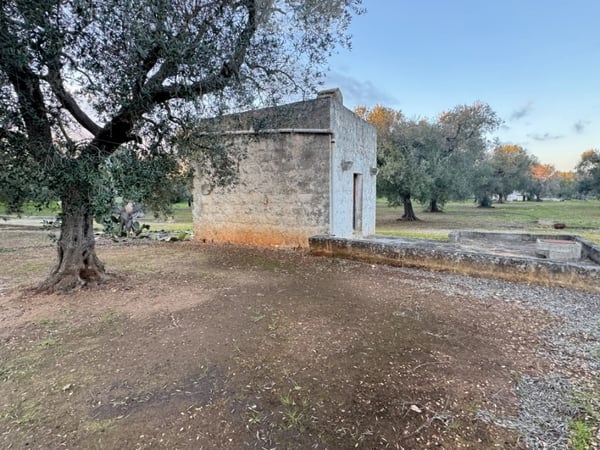 Land in Carovigno - view 1