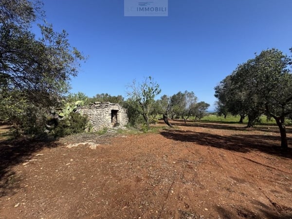 Land in Carovigno - view 1