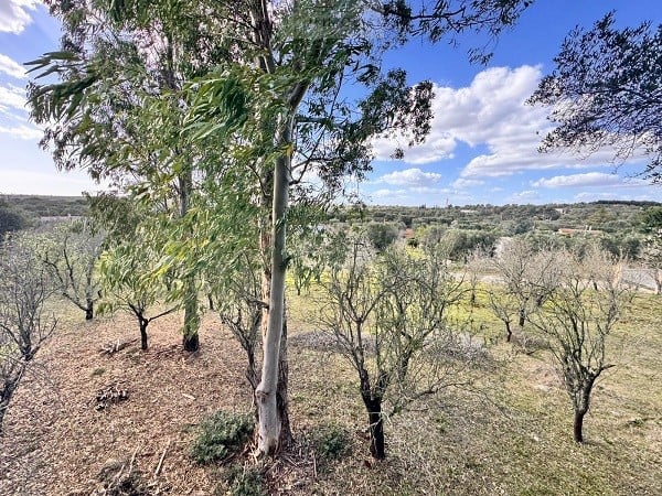 Land in Ostuni - view 1