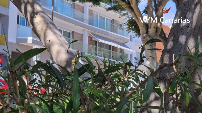 Apartment in Adeje - view 1