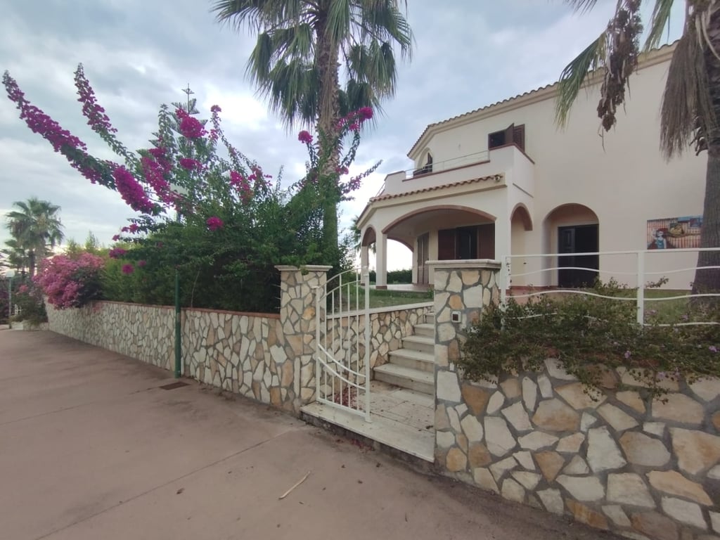 House in Belvedere Marittimo - Image 2