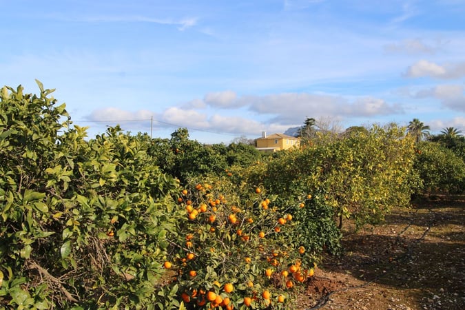 Villa in Ondara - view 1