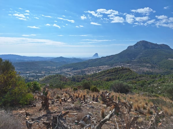 Farm, Ranch or Equestrian in Benissa - view 1