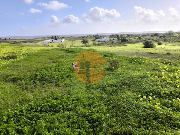 Land in Castro Marim - view 1