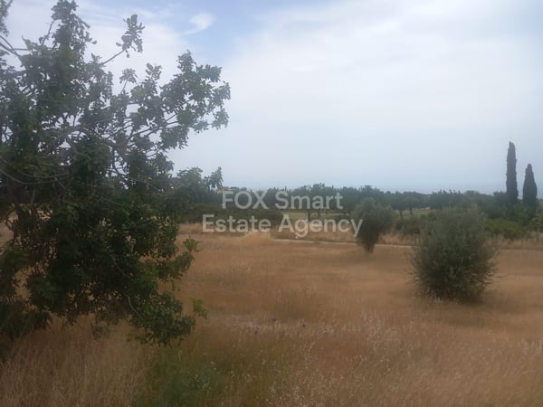 Land in Kouklia - view 1