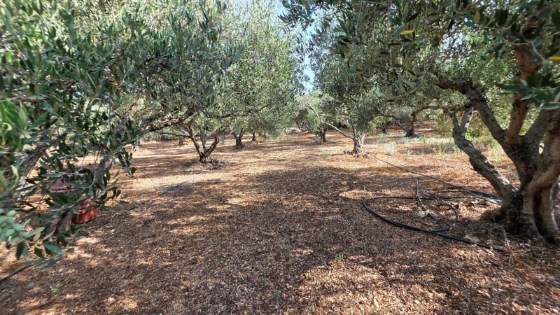 Land in Kalamitsi Amygdali - view 1