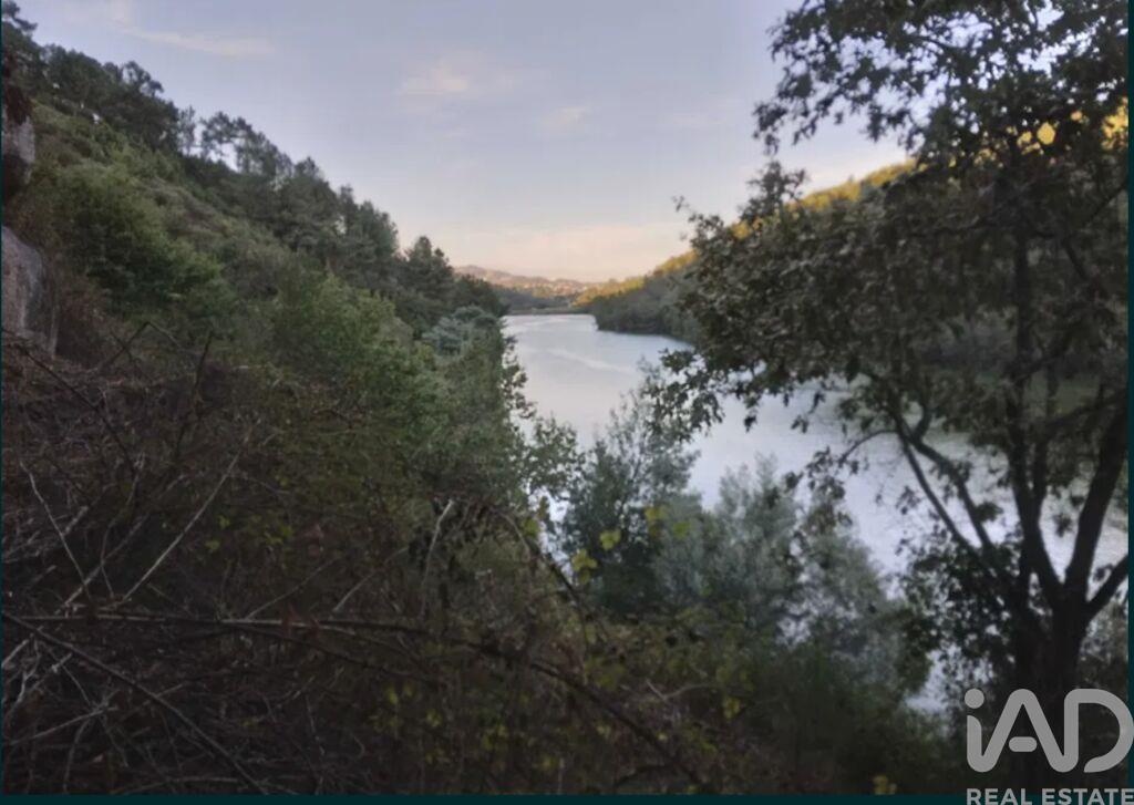 Land in Marco de Canaveses