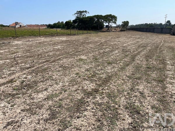 Land in Serra do Bouro - view 1