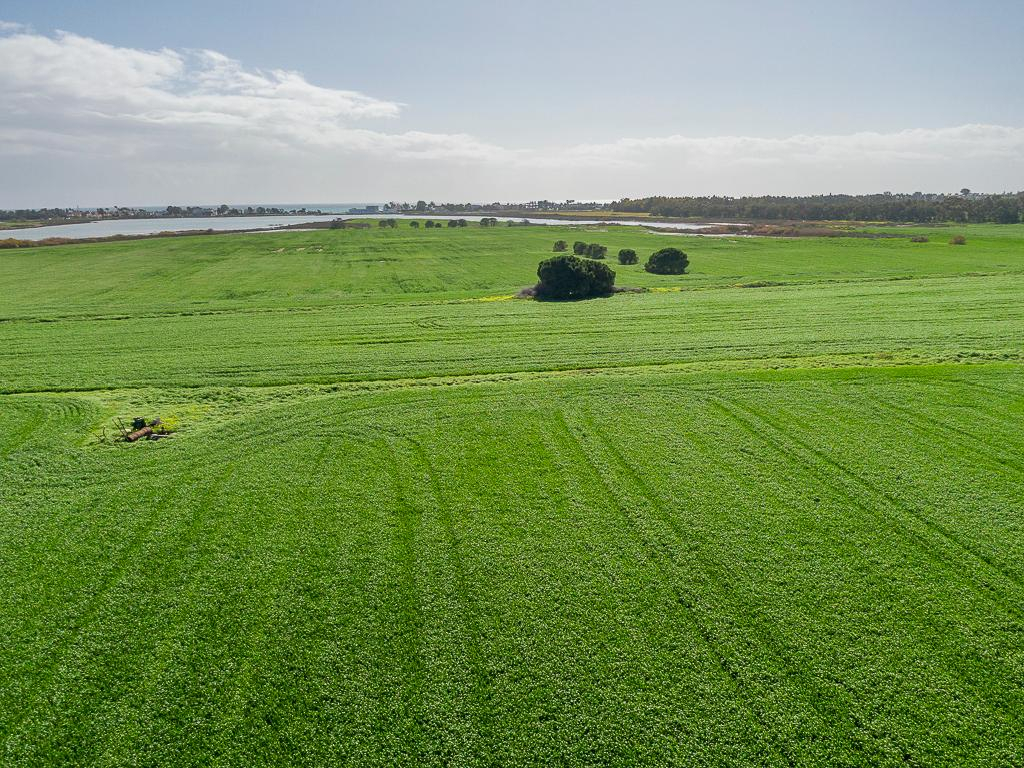 House in Meneou - Image 2