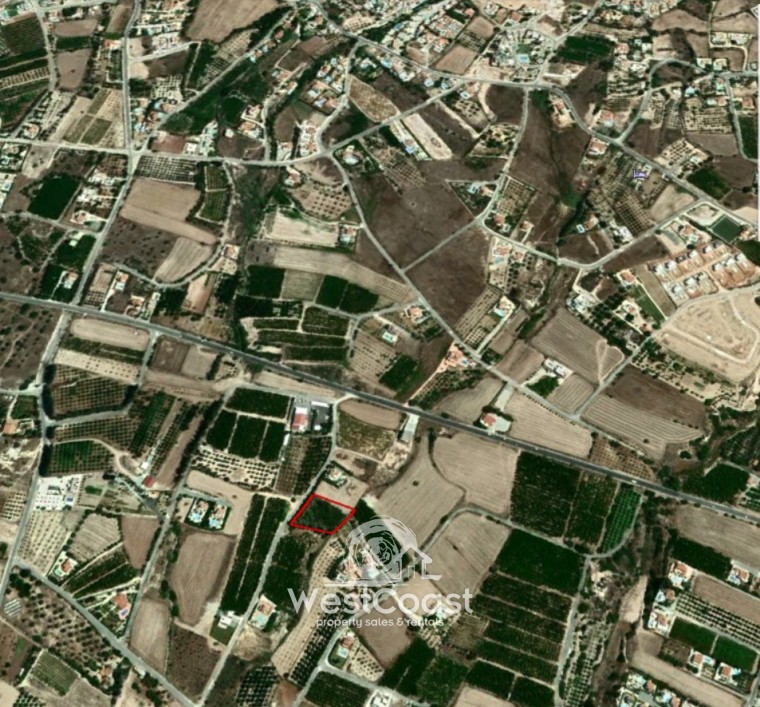 House in Pegeia - Image 2