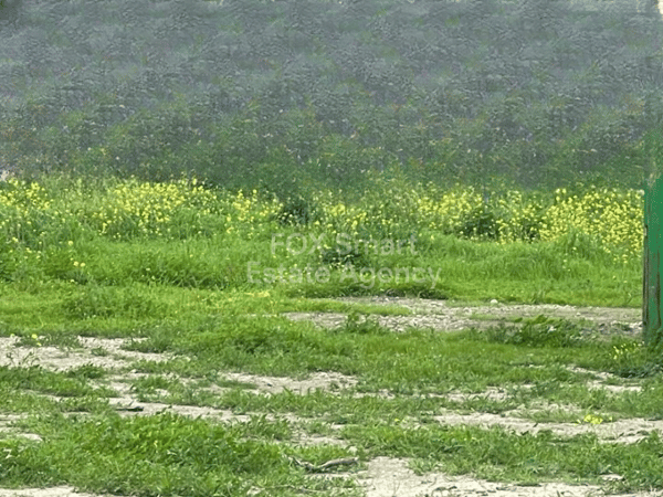 Land in Larnaca - view 1