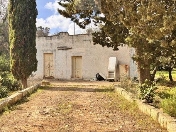 House in Carovigno - view 1