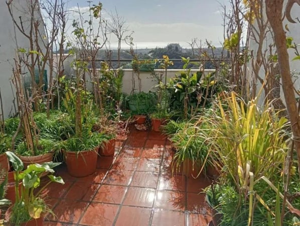 Apartment in Estepona - view 1