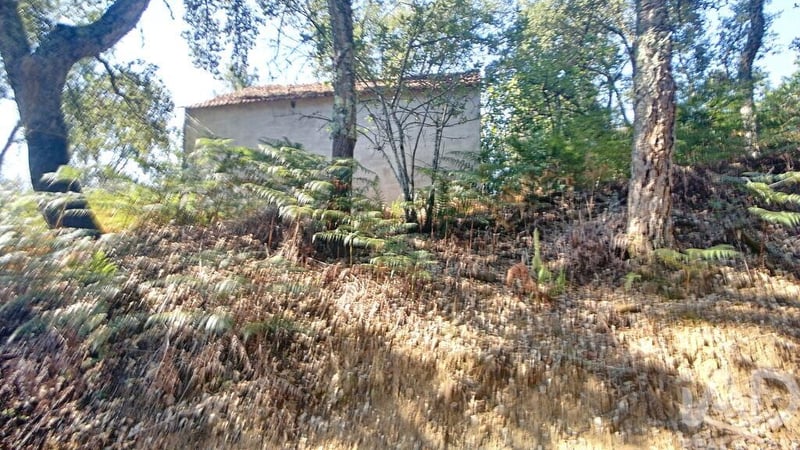 House in Pedrogao Grande - view 1