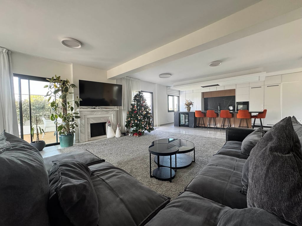 Penthouse in Nicosia Municipality