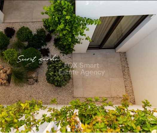 House in Pegeia - Image 3