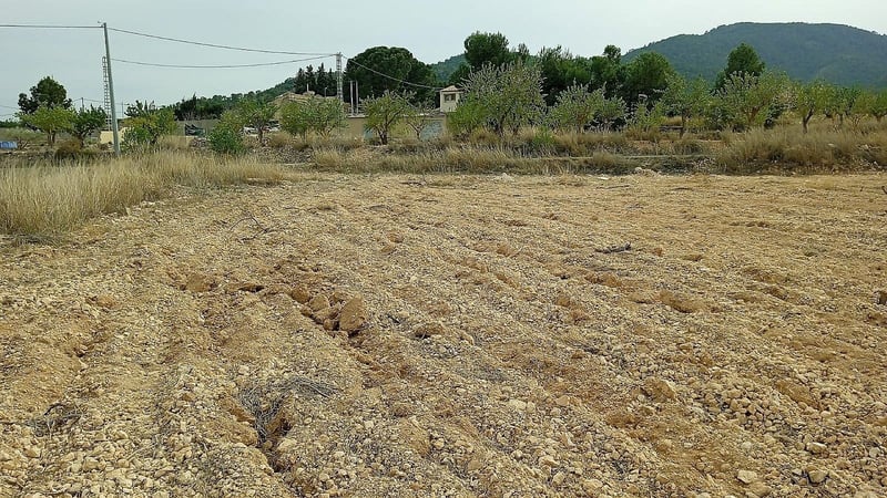 Land in Monovar - view 1