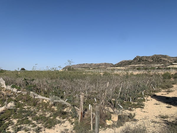 Land in Orito - view 1