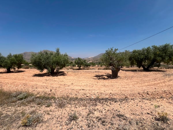 Land in Barbarroja - view 1