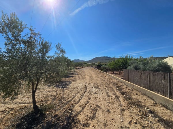 Land in Salinas - view 1