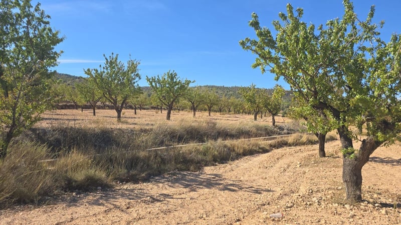 Land in Salinas - view 1