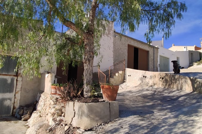 House in Hondon de los Frailes - view 1