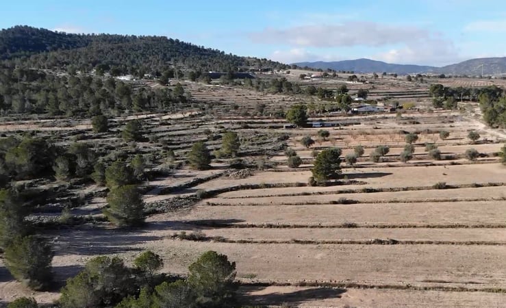 Land in Manar - view 1