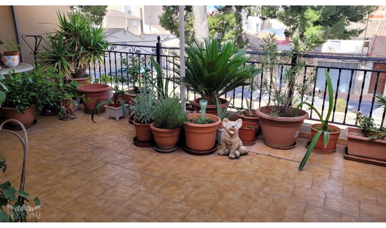 House in Pinoso - view 1