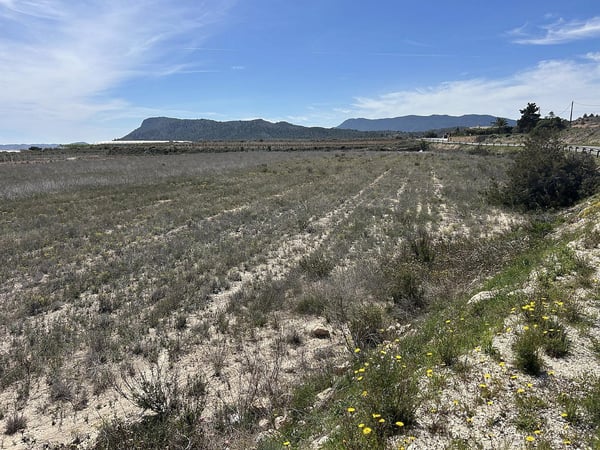 Land in Hondon de las Nieves - view 1