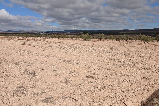 Land in Yecla - view 1