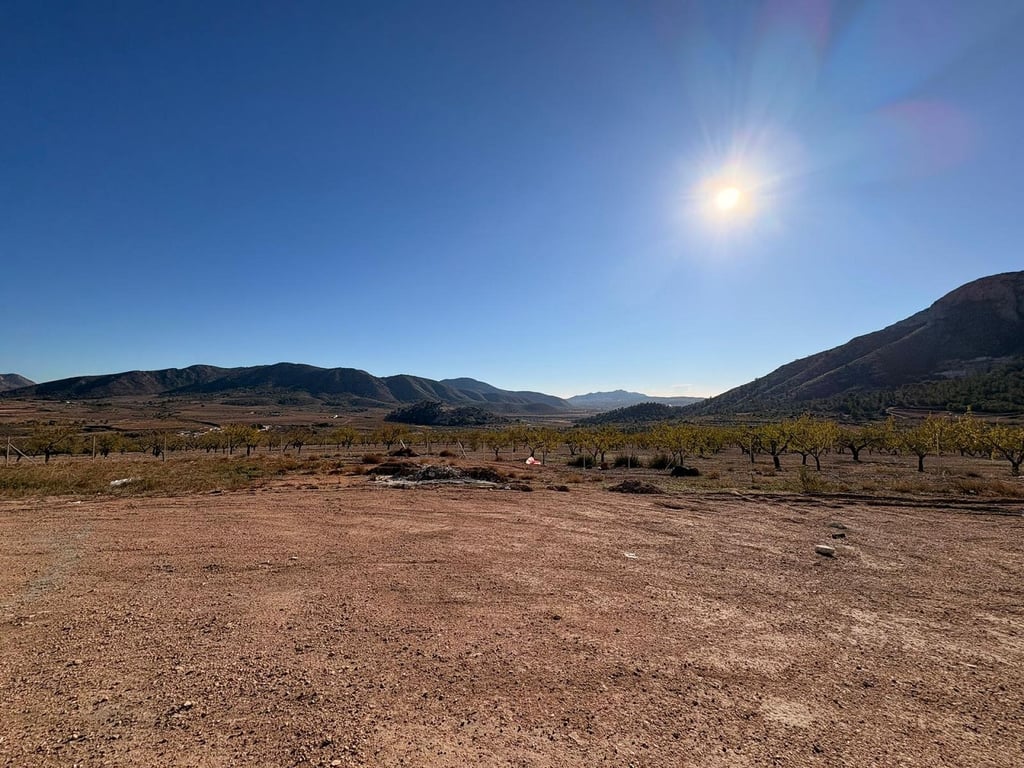 House in El Canton - Image 2