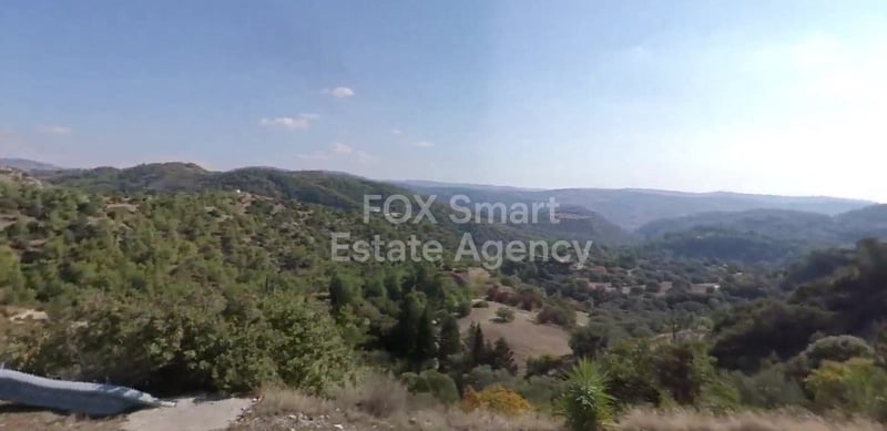 Land in Amargeti - view 1