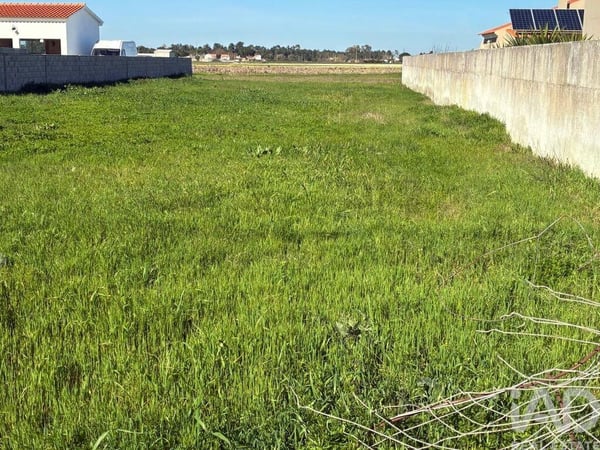 Land in Salvaterra de Magos - view 1