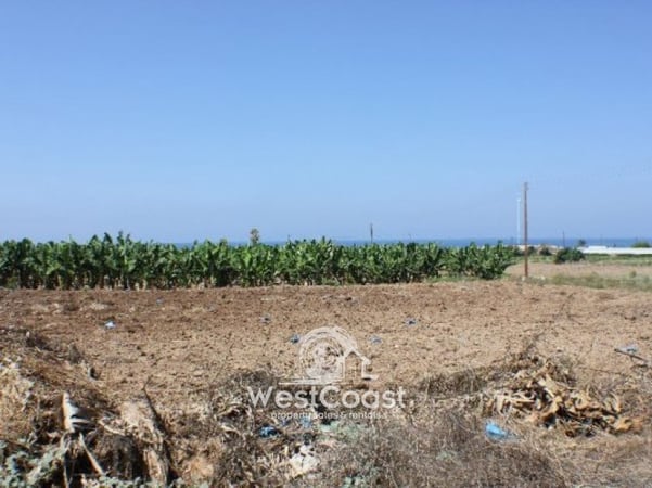 House in Kissonerga - view 1