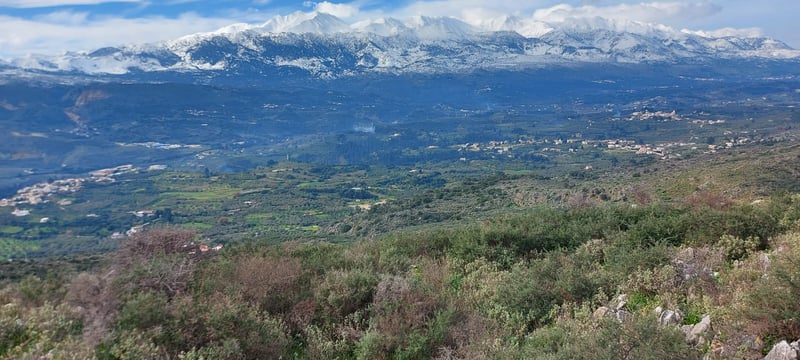 Land in Likotinarea - view 1