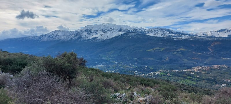 Land in Likotinarea - view 1