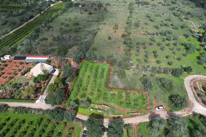 Land in Sao Bartolomeu de Messines - view 1