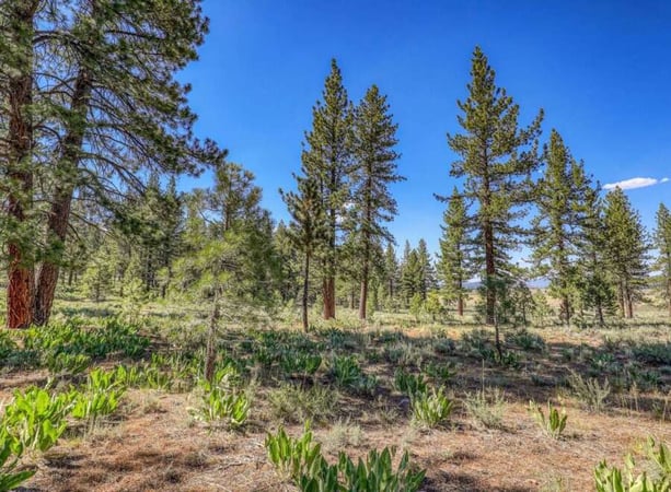 House in Truckee - view 1