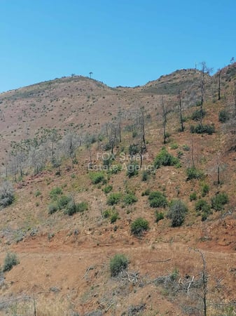 Land in Moni - view 1