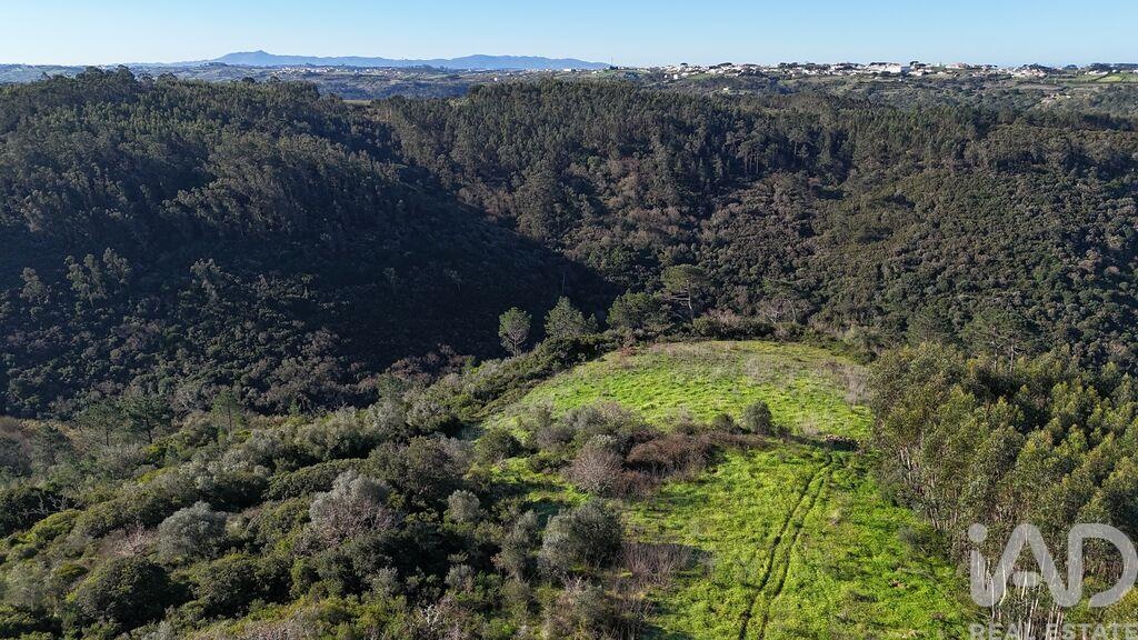 Land in Mafra