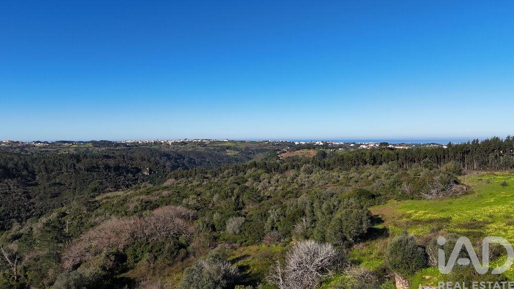 Land in Mafra - Image 3