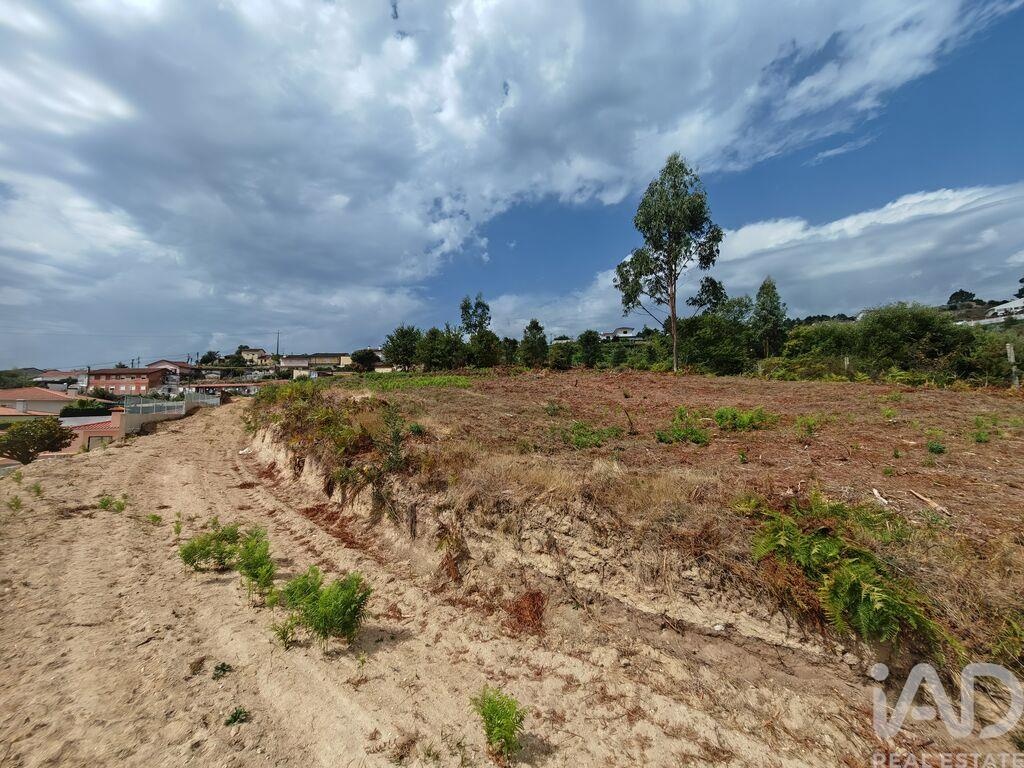 Land in Vila de Cucujaes - Image 2