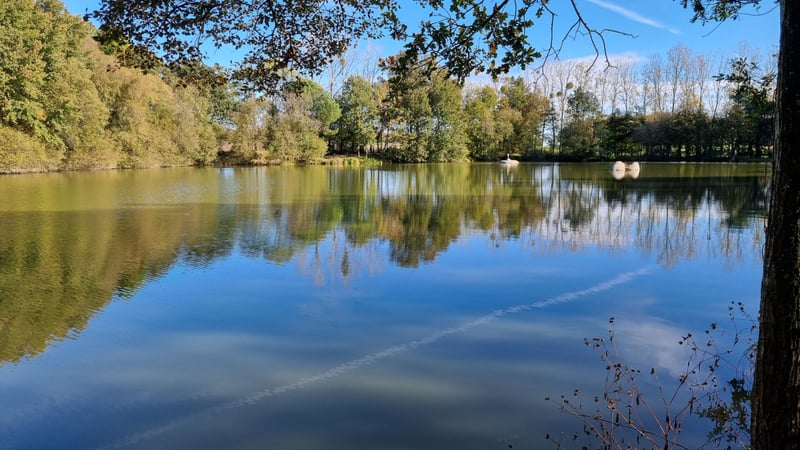 House in Meneac - view 1