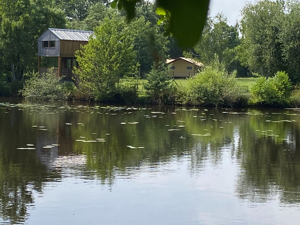 House in Rives de l'Yon - Image 2