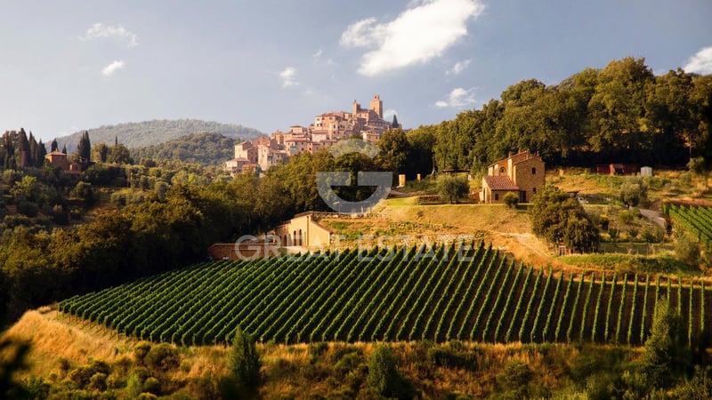 House in Montisi - view 1