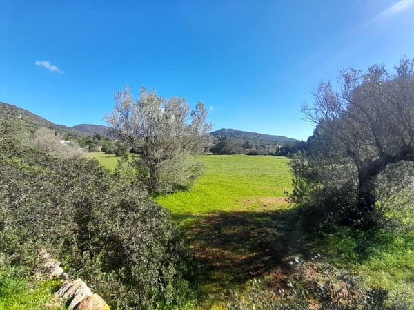 House in Sant Josep de sa Talaia - view 1